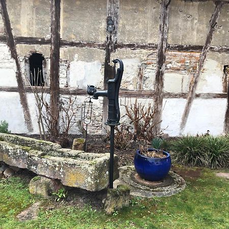 La Maison Oberlin Horbourg Dış mekan fotoğraf
